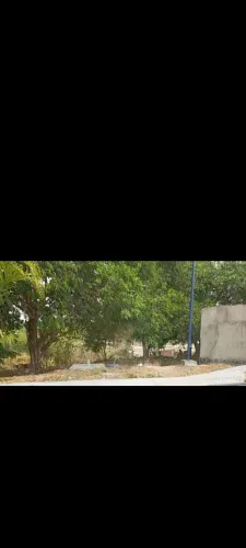Terreno Cidade Nova(ribeiro junior)