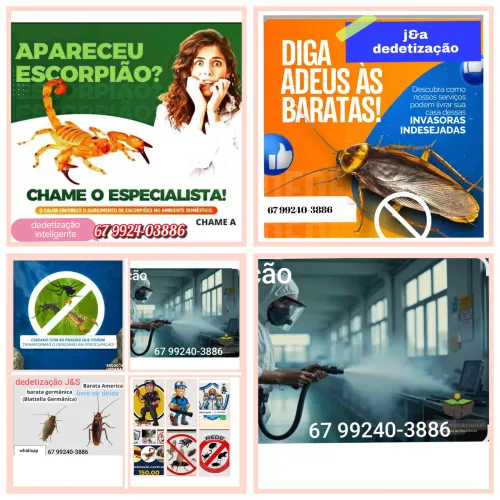 dedetização em residência e apt