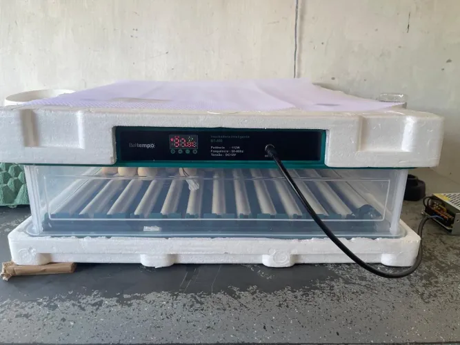 Chocadeira Incubadora 130 Ovos Automática Seminova