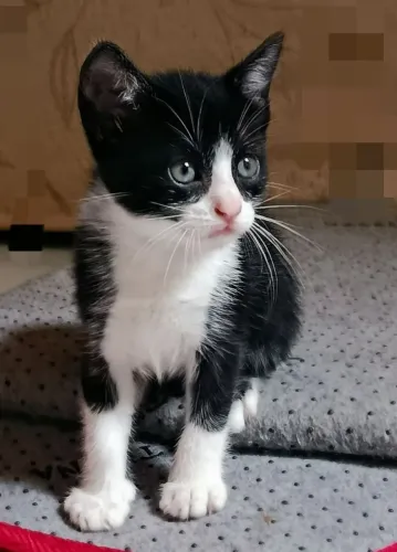 DOAÇÃO RESPONSÁVEL 