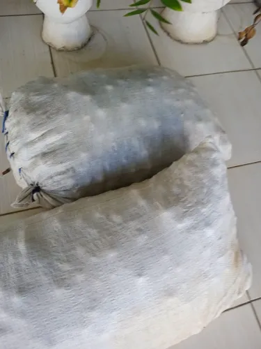Vende-se dois sacos de tucumã