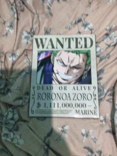 Quadro do zoro