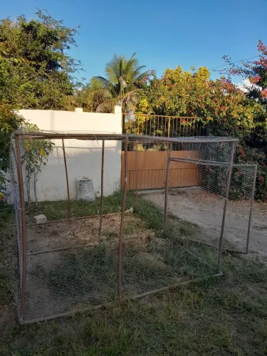 Galinheiro móvel de PVC toda telada e com porta