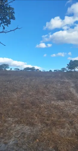 Terra a venda no pacheco