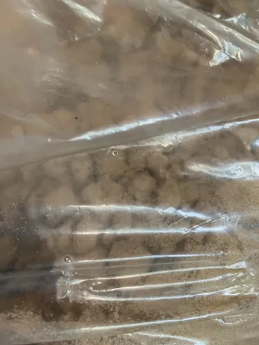Areia para gato