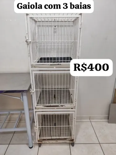 Baia banho e tosa gaiola