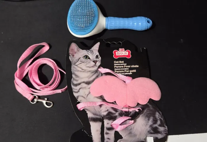 Coleira e escova para gatos
