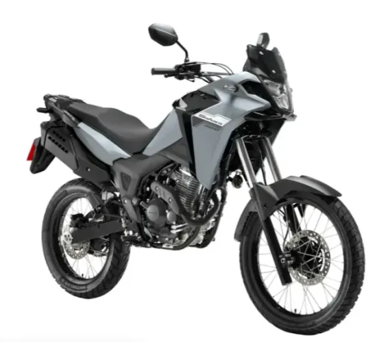Moto Honda XRE 300 SAHARA STANDARD 26/27