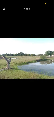 VENDO SÍTIO EM POCONE 10HC 