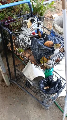 Carrinho de supermercado