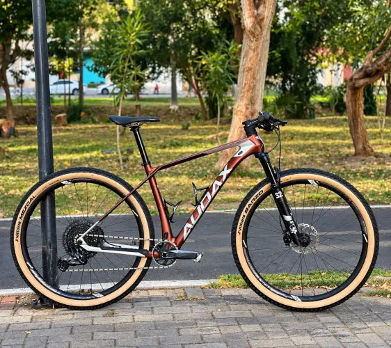 Bike audax auge 30