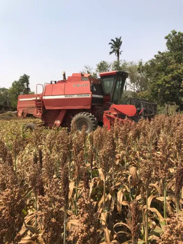 Colheitadeira Massey Ferguson 3640