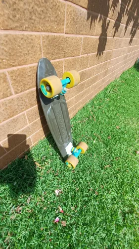 Penny Board (skate)