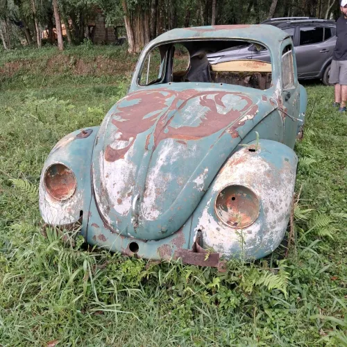 FUSCA PARA RETIRAR PEÇAS 1970 com Documento facil transferência 