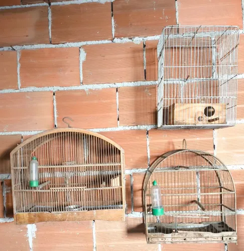 3 gaiolas usadas