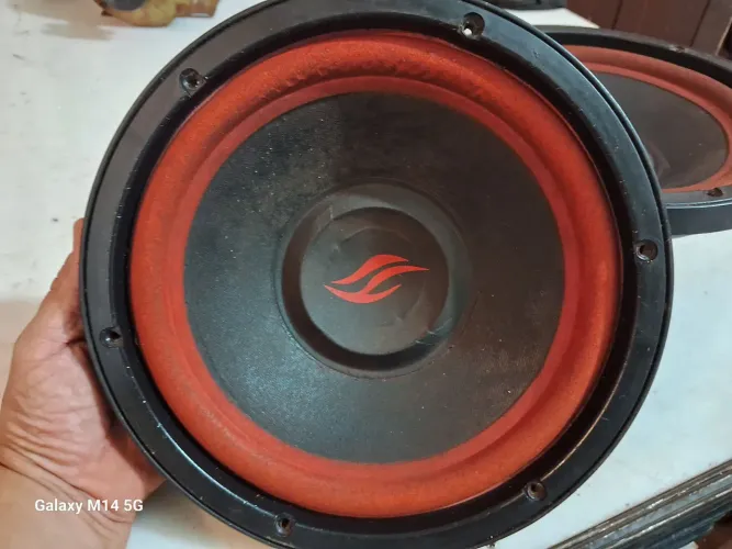 Alto-falantes 10 Subwoofer 