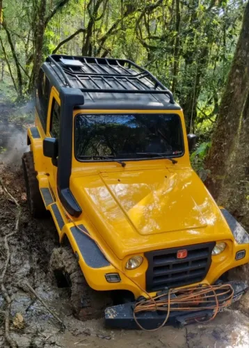 Troller T-4 4X4 3.0 TB Int. Cap. Rígida Diesel 2010