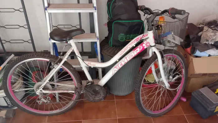 Bicicleta athor