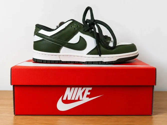 Tenis nike dunk n 40,41