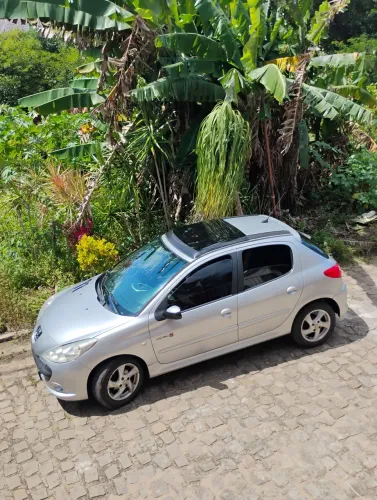 Peugeot 207 Quiksilver 1.4 Flex 8V 5P 2011