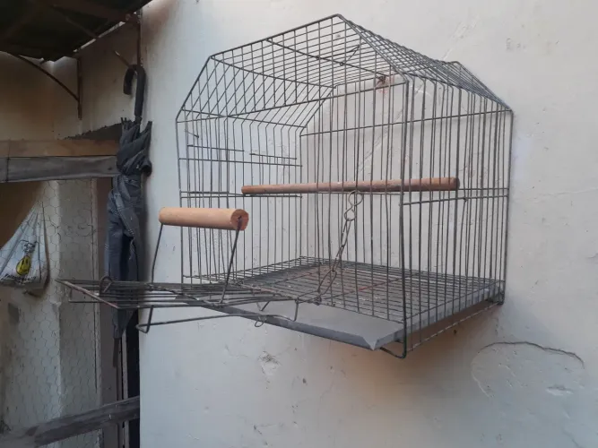 Vendo ótima gaiola de calopsita mansa. Barata