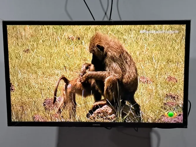 Tv Samsung 32 polegadas praticamente sem uso, tudo funcionando perfeitamente 