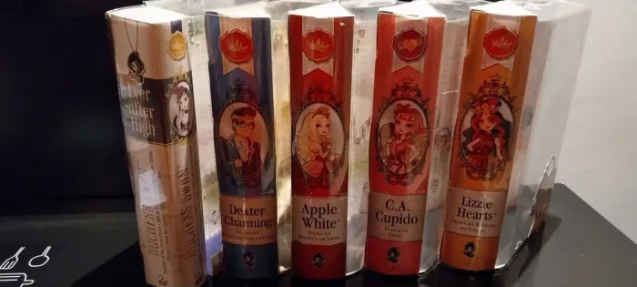 Caixas Ever After High Wave 1 bonecas