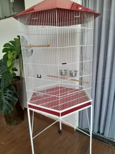 Gaiola grande