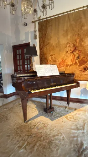 Piano Fritz Dobbert