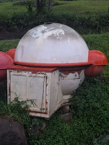 Bola de cachorro quente 2