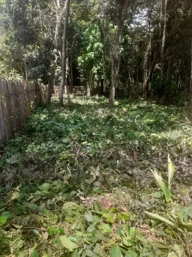 Vendo Terreno na Estrada de Alter do Chão para Pindobal