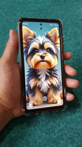 Vendo celular s20 fe 5g 