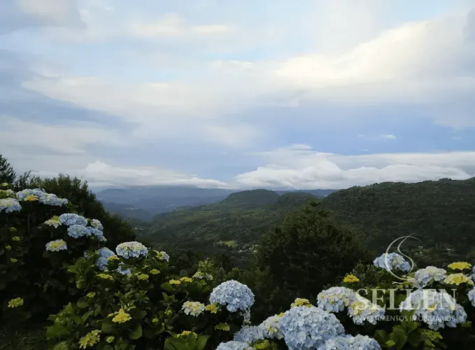 Terrenos à Venda com 1.000 m² no Vale dos Pinheiros  Gramado, RS