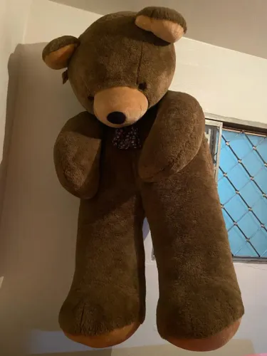 URSO TAMANHO FAMÍLIA