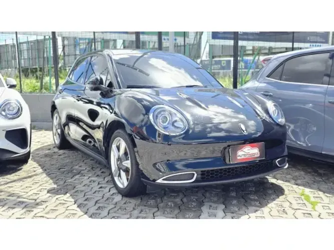GWM Ora 03 Skin (elétrico) 2024