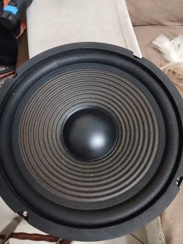 Subwoofer JBL de 10.