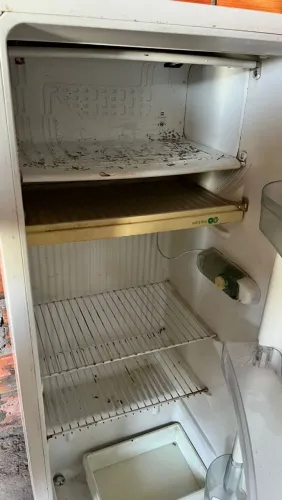 Fogão e geladeira 
