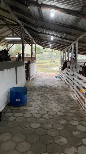 Aluguel de baias para cavalos