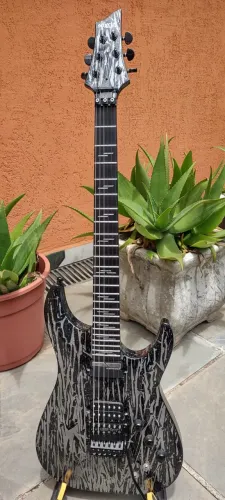 Guitarra schecter SILVER MONTAIN