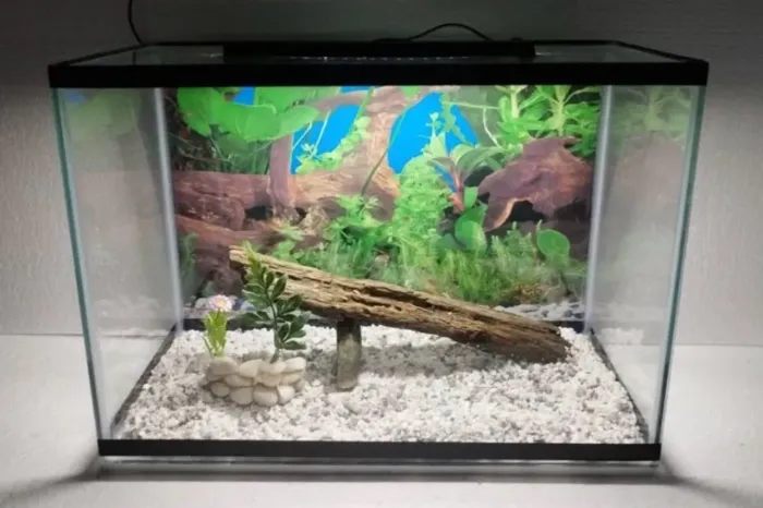 Vendo aquário completo de 40L