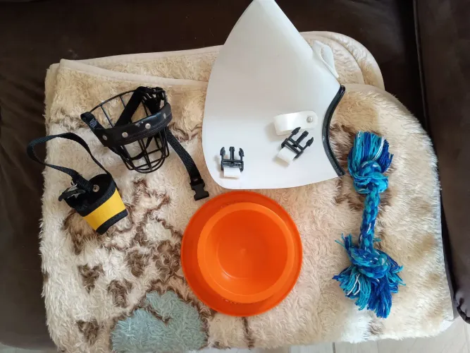 Venda produtos para cães.