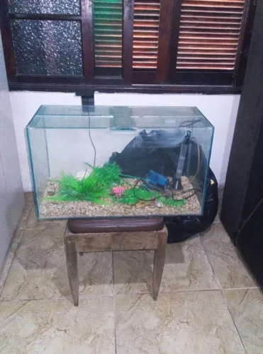 Aquário 100 lt