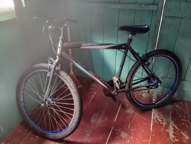 Bicicleta de marcha