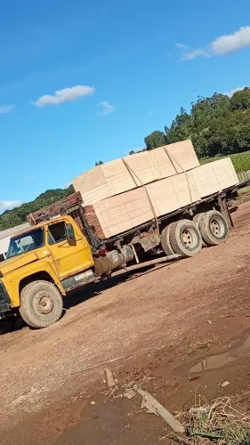 Ford f600