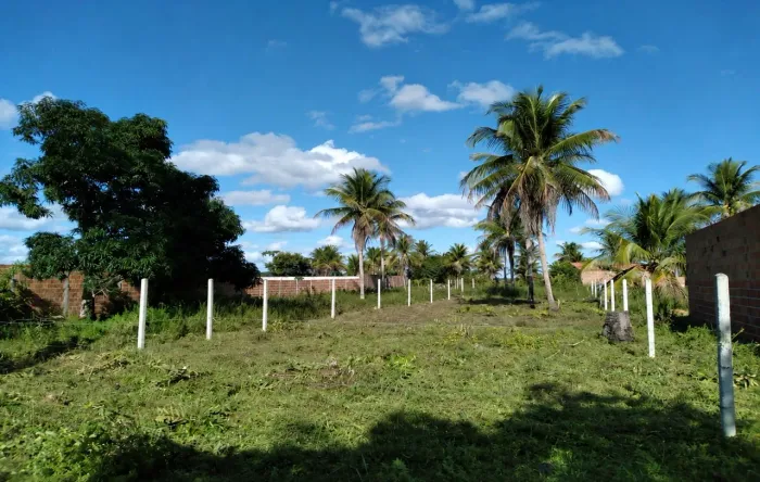 Terreno à venda em Esplanada - BA | Rua do Mocambinho | 375m² | Escriturado | R$ 24.900<br>