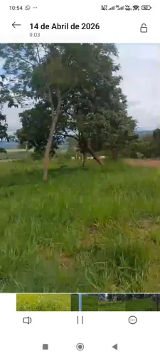 Fazenda de arrendamento de pasto 50 alqueirão em corumbaiba Go. 15.000 mês.