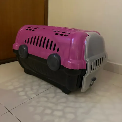 Caixa de Transporte Pet Gatos e Cães Pequeno e Médio 