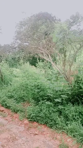 Lote no povoado Moinho