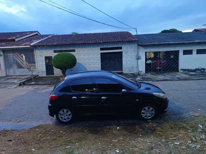 Peugeot 207 XR 1.4 Flex 8V 5P 2011
