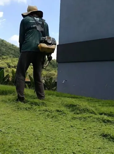 Jardinagem e poda, limpeza de terreno.